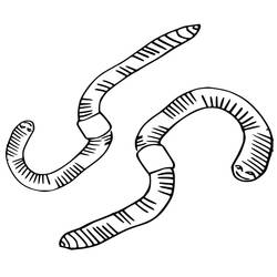 Earthworm (Animals) coloring page #214605 to print and color