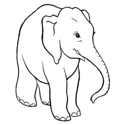 Elephant (Animals) coloring page #175092 to print and color