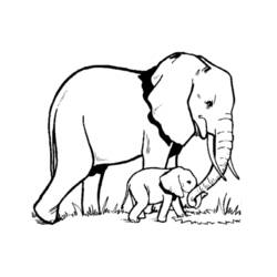 Coloring page: Elephant (Animals) #6300 - Printable coloring pages