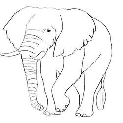 Coloring page: Elephant (Animals) #6316 - Printable coloring pages