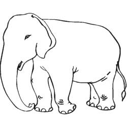 Coloring page: Elephant (Animals) #6342 - Free Printable Coloring Pages