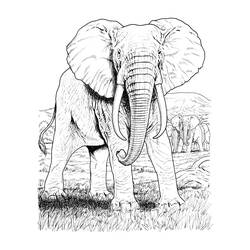 Coloring page: Elephant (Animals) #6395 - Printable coloring pages