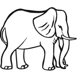 Coloring page: Elephant (Animals) #6401 - Printable coloring pages