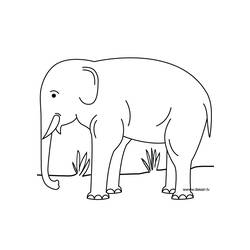 Coloring page: Elephant (Animals) #6440 - Free Printable Coloring Pages