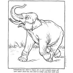 Coloring page: Elephant (Animals) #6442 - Free Printable Coloring Pages