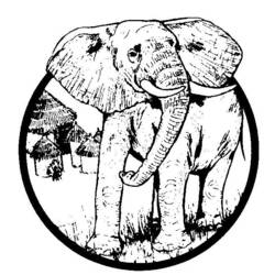 Coloring page: Elephant (Animals) #6485 - Free Printable Coloring Pages