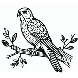 Coloring page: Falcon (Animals) #205257 - Free Printable Coloring Pages