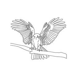 Coloring page: Falcon (Animals) #205269 - Free Printable Coloring Pages
