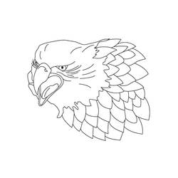 Coloring page: Falcon (Animals) #205272 - Free Printable Coloring Pages