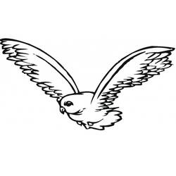 Coloring page: Falcon (Animals) #205273 - Free Printable Coloring Pages