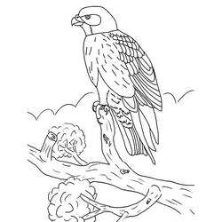 Coloring page: Falcon (Animals) #205276 - Free Printable Coloring Pages