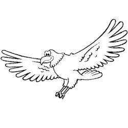 Coloring page: Falcon (Animals) #6830 - Printable coloring pages