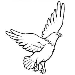 Coloring pages: Falcon - Printable Coloring Pages