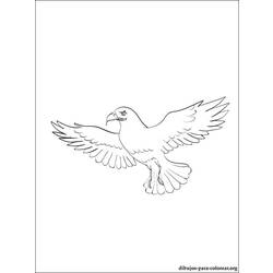 Coloring page: Falcon (Animals) #6842 - Printable coloring pages