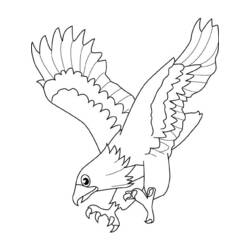 Coloring page: Falcon (Animals) #6855 - Printable coloring pages