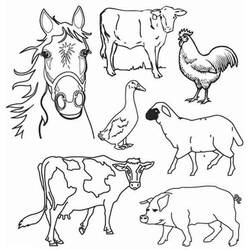 Coloring page: Farm Animals (Animals) #21381 - Printable coloring pages