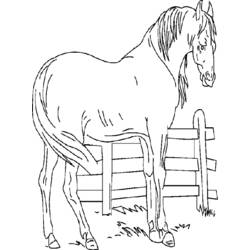 Coloring page: Farm Animals (Animals) #21399 - Free Printable Coloring Pages