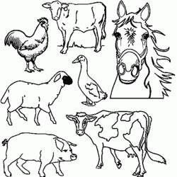 Coloring page: Farm Animals (Animals) #21427 - Free Printable Coloring Pages