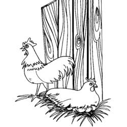 Coloring page: Farm Animals (Animals) #21430 - Free Printable Coloring Pages