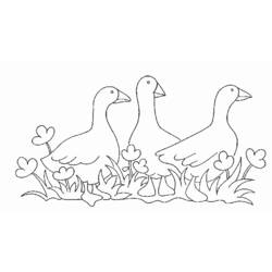 Coloring page: Farm Animals (Animals) #21445 - Free Printable Coloring Pages