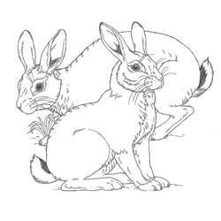 Coloring page: Farm Animals (Animals) #21466 - Free Printable Coloring Pages