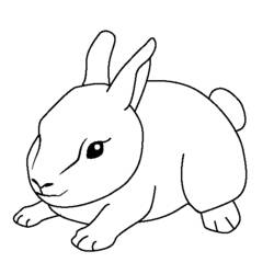 Coloring page: Farm Animals (Animals) #21472 - Free Printable Coloring Pages