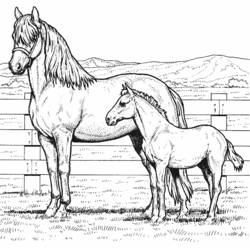 Coloring page: Farm Animals (Animals) #21476 - Free Printable Coloring Pages