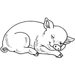 Coloring page: Farm Animals (Animals) #21480 - Printable coloring pages