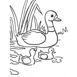 Coloring page: Farm Animals (Animals) #21488 - Free Printable Coloring Pages