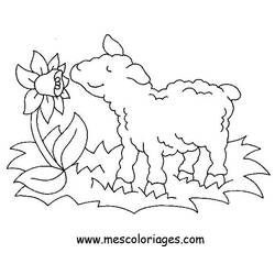 Coloring page: Farm Animals (Animals) #21501 - Free Printable Coloring Pages