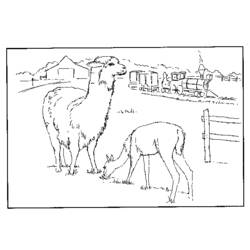 Coloring page: Farm Animals (Animals) #21530 - Free Printable Coloring Pages