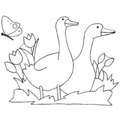 Coloring page: Farm Animals (Animals) #21544 - Free Printable Coloring Pages