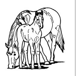 Coloring page: Farm Animals (Animals) #21549 - Free Printable Coloring Pages