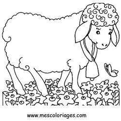 Coloring page: Farm Animals (Animals) #21576 - Free Printable Coloring Pages