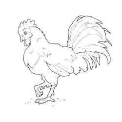 Coloring page: Farm Animals (Animals) #21596 - Free Printable Coloring Pages