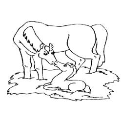 Coloring page: Farm Animals (Animals) #21612 - Free Printable Coloring Pages