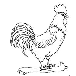 Coloring page: Farm Animals (Animals) #21628 - Free Printable Coloring Pages