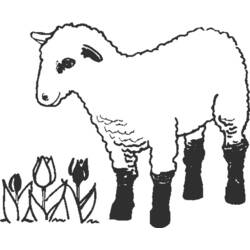 Coloring page: Farm Animals (Animals) #21645 - Free Printable Coloring Pages