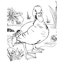 Coloring page: Farm Animals (Animals) #21659 - Free Printable Coloring Pages