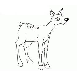 Fawn (Animals) coloring page #206087 to print and color