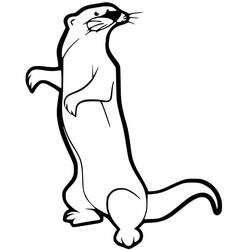Ferret (Animals) coloring page #205411 to print and color