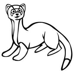Ferret (Animals) coloring page #205417 to print and color