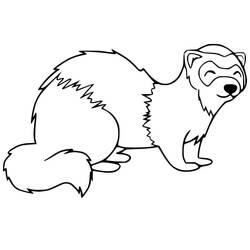 Ferret (Animals) coloring page #205418 to print and color
