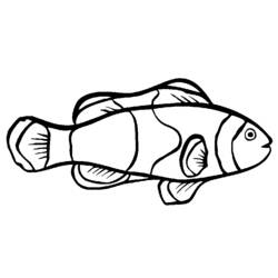 Coloring page: Fish (Animals) #17021 - Free Printable Coloring Pages