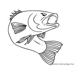 Coloring page: Fish (Animals) #17040 - Printable coloring pages