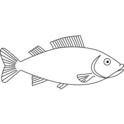 Coloring pages: Fish - Printable Coloring Pages