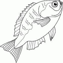 Coloring page: Fish (Animals) #17217 - Free Printable Coloring Pages