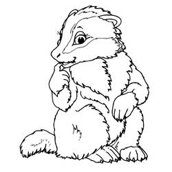 Forest Animals (Animals) coloring page #192058 to print and color