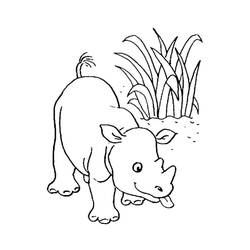 Forest Animals (Animals) coloring page #192061 to print and color