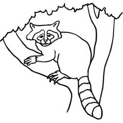 Forest Animals (Animals) coloring page #192068 to print and color